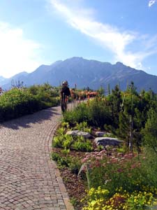 顔山裏の植物園