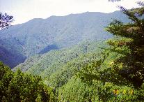 岩神峠手前、再び山が深くなってきています