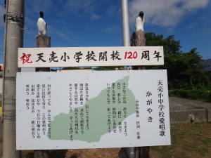 天売小学校